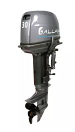 2х-тактный лодочный мотор ALLFA CG T30 FWS
