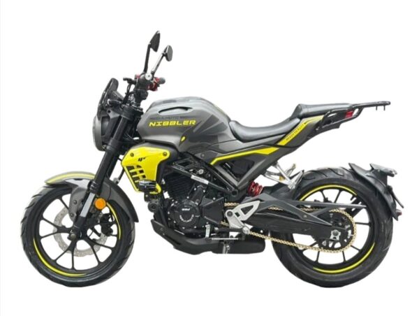 Мотоцикл REGULMOTO Nibbler 300 4V