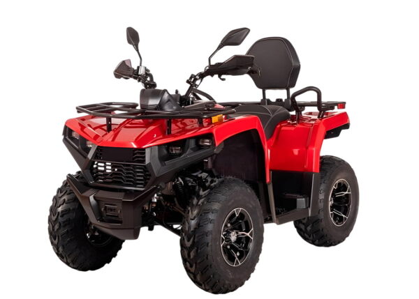 Квадроцикл BIZON YK200 Basic Carb